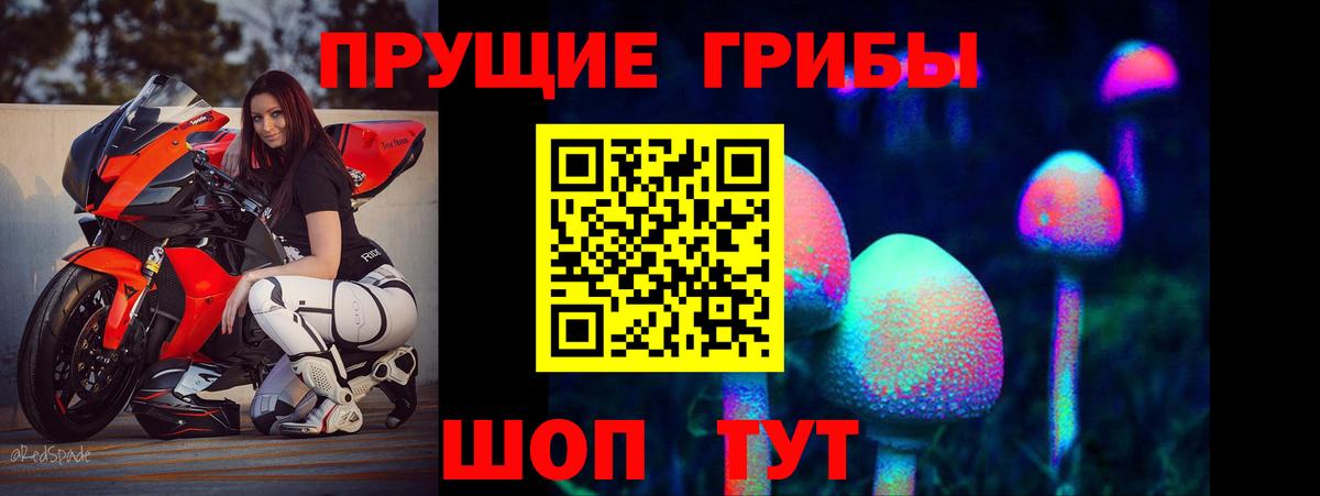 Псилоцибиновые грибы мицелий Белая Калитва