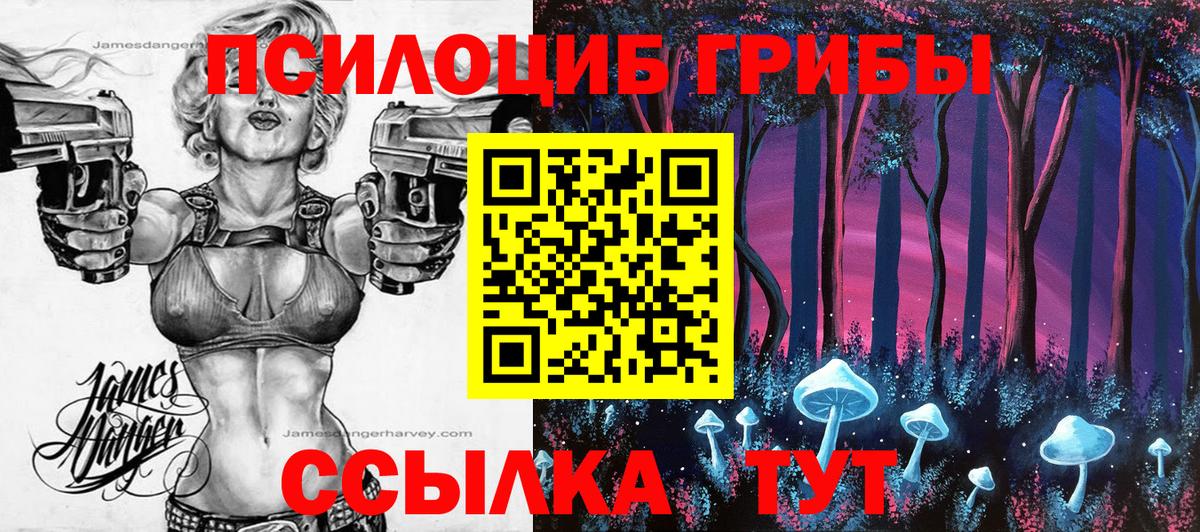 Псилоцибиновые грибы Psilocybine cubensis  Вход с VPN  Псилоцибиновые грибы Magic Shrooms  Белая Калитва 